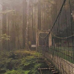 Meet your Posher, Renae